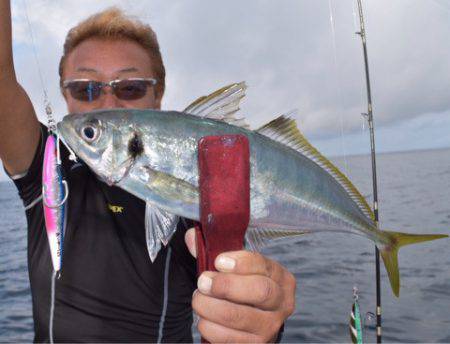 渡船屋たにぐち 釣果