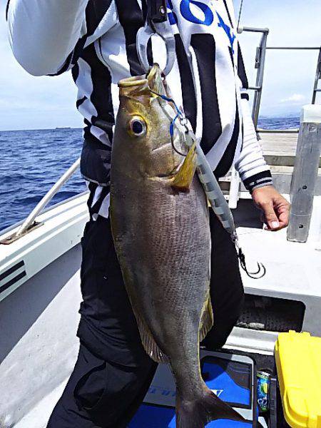 光生丸 釣果