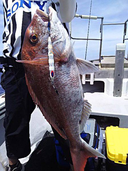 光生丸 釣果