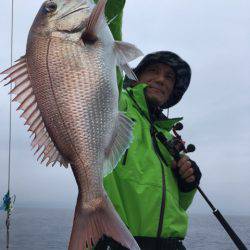 エヌスタイル 釣果