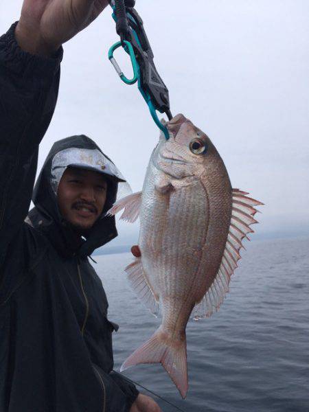 エヌスタイル 釣果