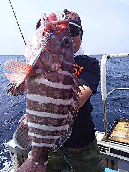 光生丸 釣果