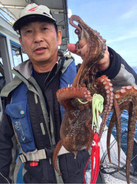 ヤザワ渡船 釣果