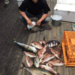 釣り堀水宝 釣果