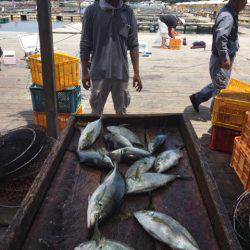 釣り堀水宝 釣果