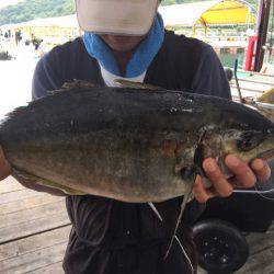 釣り堀水宝 釣果