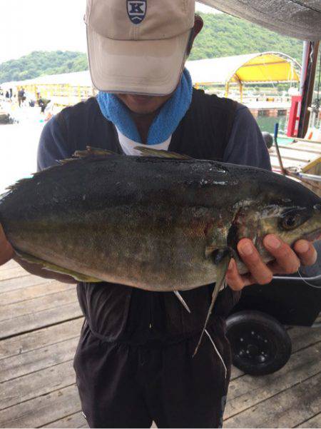 釣り堀水宝 釣果