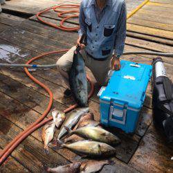 釣り堀水宝 釣果