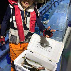 ヤザワ渡船 釣果