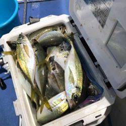 ヤザワ渡船 釣果