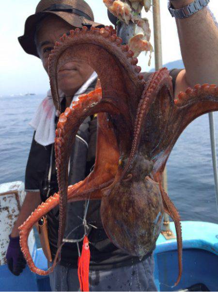 ヤザワ渡船 釣果