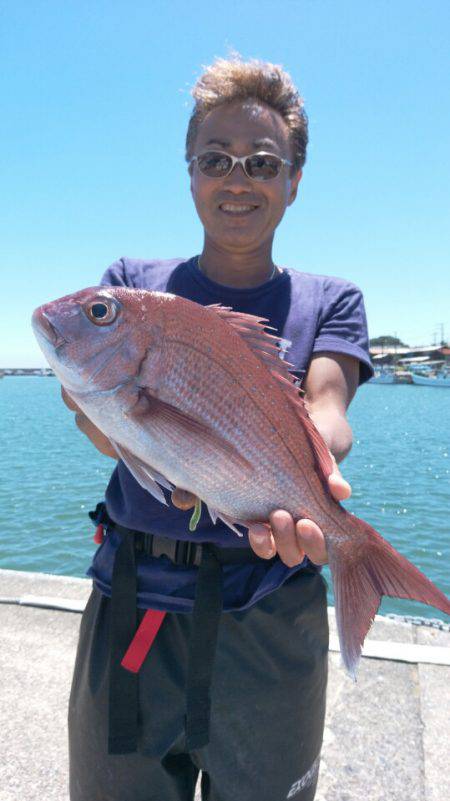 富士丸 釣果