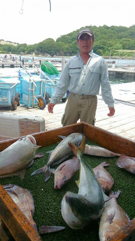 海の釣堀 海恵 釣果