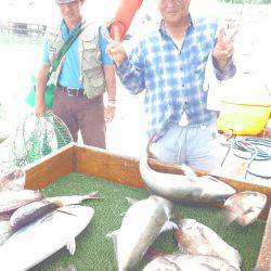 海の釣堀 海恵 釣果