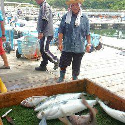 海の釣堀 海恵 釣果