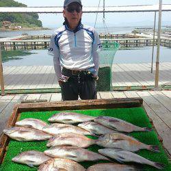 海の釣堀 海恵 釣果