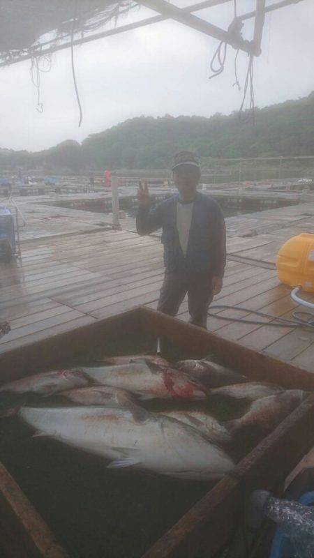 海の釣堀 海恵 釣果