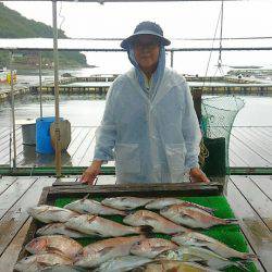 海の釣堀 海恵 釣果