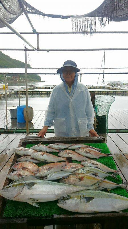 海の釣堀 海恵 釣果