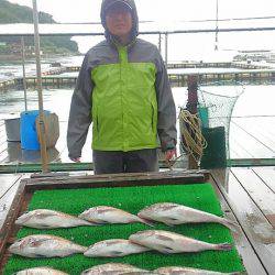 海の釣堀 海恵 釣果