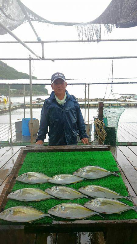 海の釣堀 海恵 釣果