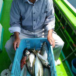 小島丸 釣果