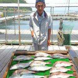 海の釣堀 海恵 釣果