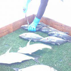 海の釣堀 海恵 釣果