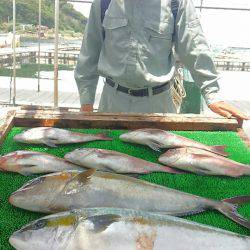 海の釣堀 海恵 釣果