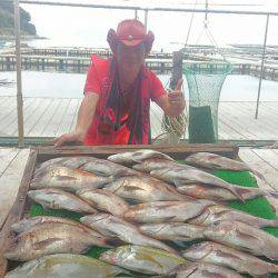 海の釣堀 海恵 釣果