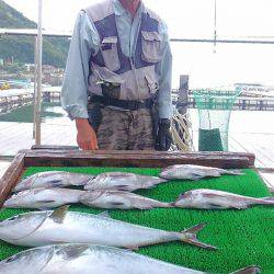 海の釣堀 海恵 釣果