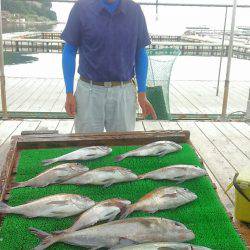 海の釣堀 海恵 釣果