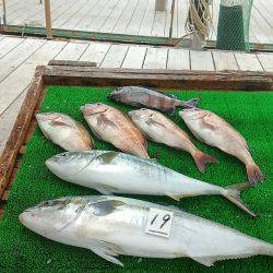 海の釣堀 海恵 釣果