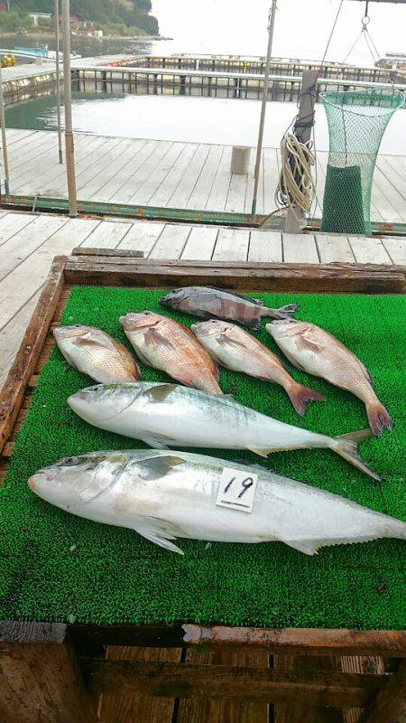 海の釣堀 海恵 釣果