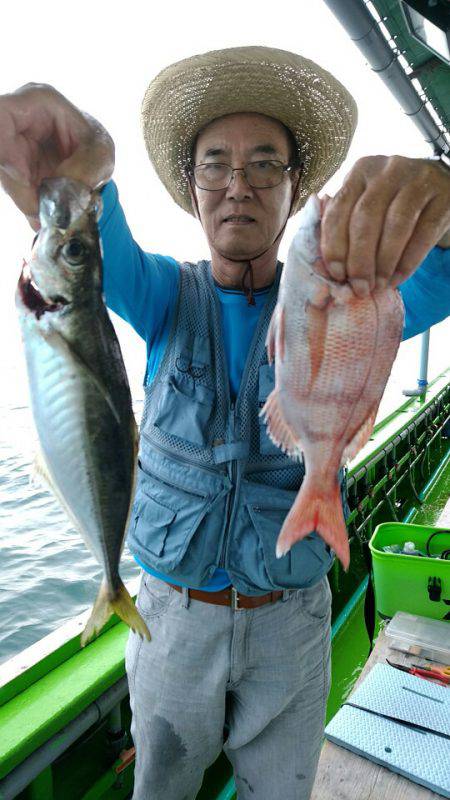 小島丸 釣果