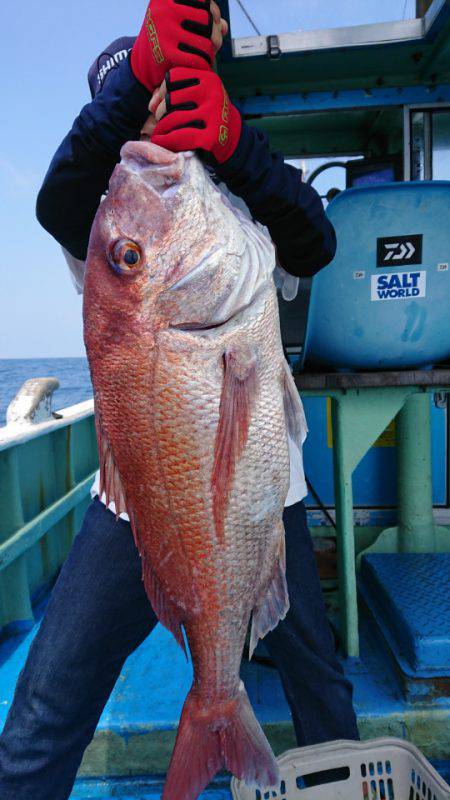 だて丸 釣果