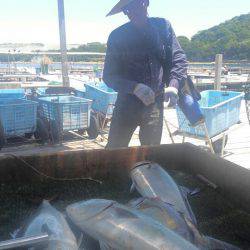 海の釣堀 海恵 釣果