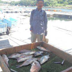 海の釣堀 海恵 釣果