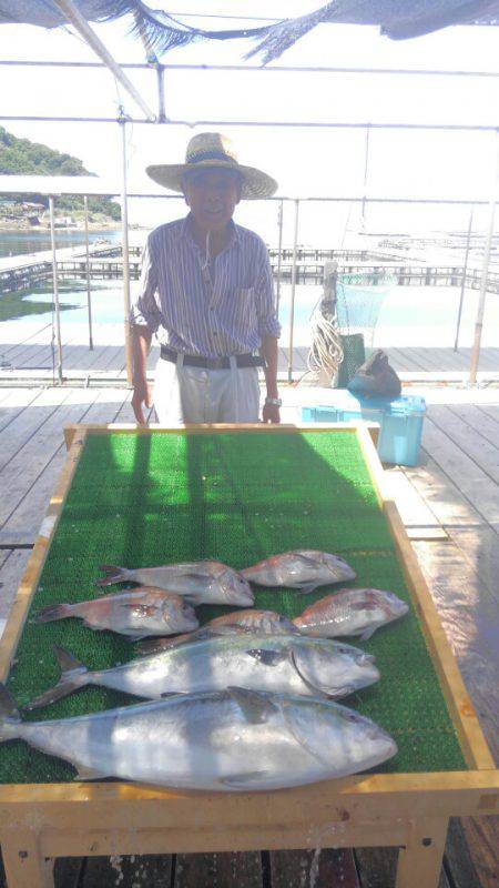 海の釣堀 海恵 釣果