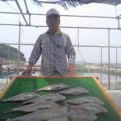 海の釣堀 海恵 釣果