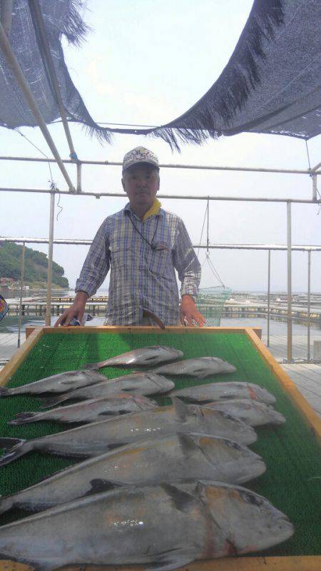 海の釣堀 海恵 釣果