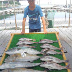 海の釣堀 海恵 釣果