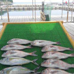 海の釣堀 海恵 釣果