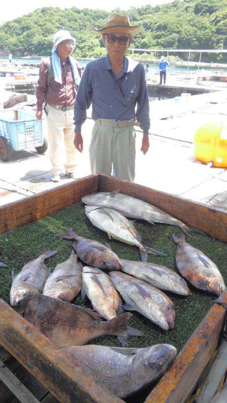 海の釣堀 海恵 釣果