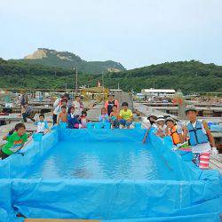 海の釣堀 海恵 釣果