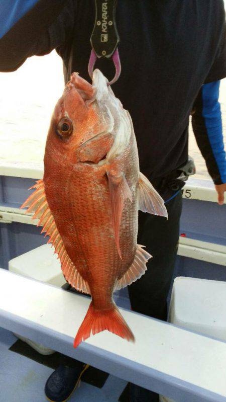 新幸丸 釣果