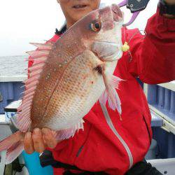 新幸丸 釣果