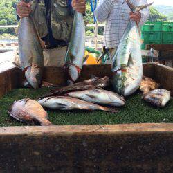 海の釣堀 海恵 釣果