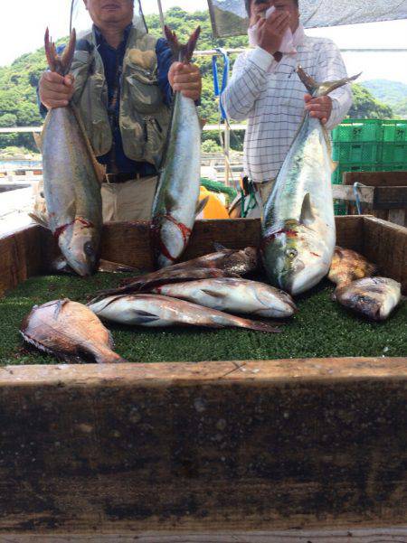 海の釣堀 海恵 釣果