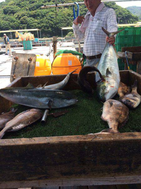 海の釣堀 海恵 釣果